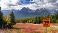 Bear Country, Canadian Rockies, Canada Royalty Free Stock Photo