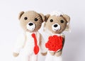 Bear couple portraits on white background Royalty Free Stock Photo