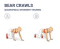 Bear Crawls Exercise, Women Home Workout Guidance of Quadrupedal Movement