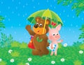 Bear-cub and piglet in the rain