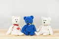 Bear cubs. Three multi-colored teddy bears. Stuffed Toys