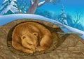 Bear in a den Royalty Free Stock Photo
