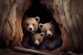 bear den, with baby bear cubs peeking out of their den Royalty Free Stock Photo