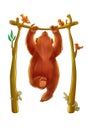 Bear doing chin-ups Royalty Free Stock Photo