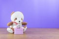 bear doll with gift box Royalty Free Stock Photo