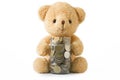 Bear doll hugging glass coins on white background isolated.