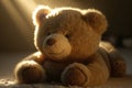 bear doll lying in sunbeam, with its fur shining