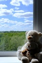 Bear dolls. View from high-rise building glass window. White bear sitting and looking at intside apartment, narrow space Royalty Free Stock Photo