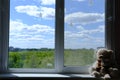 Bear dolls. View from high-rise building glass window. White bear sitting and looking at intside apartment, narrow space Royalty Free Stock Photo