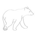 Bear flat illustration on white Royalty Free Stock Photo