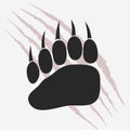 Bear footprint with claw scratches vector