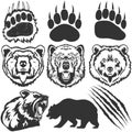 Bear, footprint with claw scratches vector Royalty Free Stock Photo