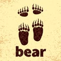 Bear footprints, front and hind paws.