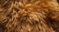 bear fur in a hyperrealistic manner, showcasing its soft and fuzzy qualities in an evenly lit composition, perfect for