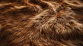 bear fur in a hyperrealistic manner, showcasing its soft and fuzzy qualities in an evenly lit composition, perfect for
