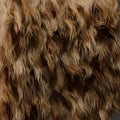 Bear Fur texture top view. 3d render Royalty Free Stock Photo