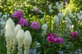 Bear Grass and Rhododendron