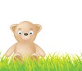 Bear on a green grass,vector