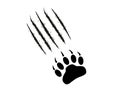 Bear or Grizzly Paw print with scratches. Claw marks, cuts, wounds. Black Silhouette on white background. Monster Royalty Free Stock Photo