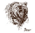 Bear growling, muzzle with opened mouth, with inscription