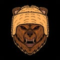 Bear head designs vector illustration