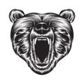 Bear head roaring line art drawing vector, bear head roaring drawn in a sketch style, black line bear head roaring trainers Royalty Free Stock Photo
