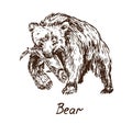 Bear hunt salmon, with inscription, hand drawn doodle
