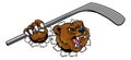 Bear Ice Hockey Player Animal Sports Mascot Royalty Free Stock Photo