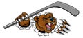 Bear Ice Hockey Player Animal Sports Mascot Royalty Free Stock Photo