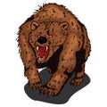 Bear icon. Vector illustration of an angry bear. Hand drawn roaring shaggy bear