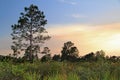 Big Cypress National Preserve