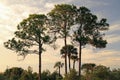 Big Cypress National Preserve