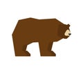 Bear isolated. Grizzly forest predator beast. Vector