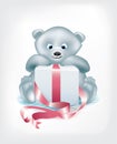 Bear little cute white present vector illustration