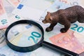 Bear market in financial and investment concept, grizzly bear figure walking on Euro banknotes money with magnifying glass, brexit Royalty Free Stock Photo