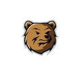 Bear mascot logo design vector