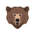 Bear mascot logo. Bear head isolated vector. Bear vector detailed Royalty Free Stock Photo