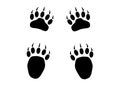 Bear or panda furry paw footprint with claws. Silhouette, contour. Icon. Vector isolated on white. Black and white