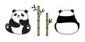 Bear panda vector icon polar bear bamboo food logo teddy cartoon character doodle illustration symbol Royalty Free Stock Photo