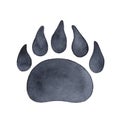 Bear paw print watercolour illustration.