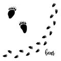 Bear paw vector foot trails. footprints of wild bear. diagonal tracks for t-shirts, backgrounds