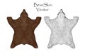 Bear pelt. Big brown and White . Hunting trophy. Vector illustration Top View.