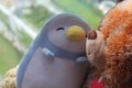 Bear and penguin toy sitting by the window in shadows Royalty Free Stock Photo