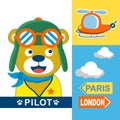 Bear pilot