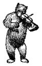 Bear Playing Violin, vintage illustration