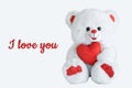 Bear polar bear with a heart in his hands. Inscription I love you Royalty Free Stock Photo