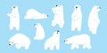 Bear polar bear teddy vector icon character cartoon doodle illustration