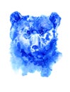 Bear portrait. Image of a wild forest animal.