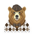 Bear portrait Royalty Free Stock Photo