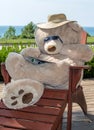 Bear reading a magazine on vacation